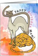 Yappy Birthday Mom From The Cats Meow Meow Meow Meow card