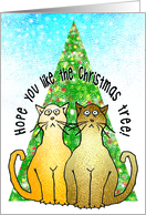 Christmas Humor From Cats Hope You Like The Christmas Tree card