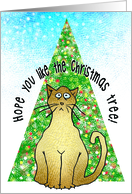 Christmas Humor From Cat Hope You Like The Christmas Tree card