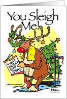 Christmas Humor Reindeer You Sleigh Me Merry Chrstmas Deer card