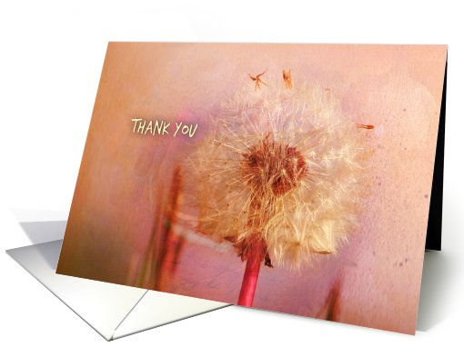 Thank You card (375245)