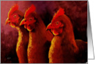 Chickens at Dawn Light card