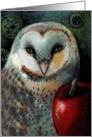 Snowy Owl’s Apple card