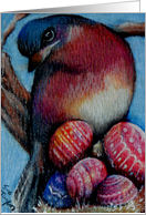 Easter Egg Robin card