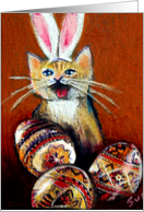 Easter Egg Kitten