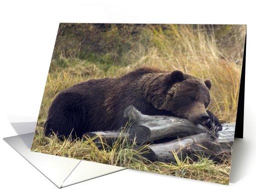 Bear Season's Greetings card (705090)