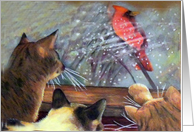 Happy Holidays with Cats & cardinal card