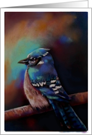 Blue Jay General card