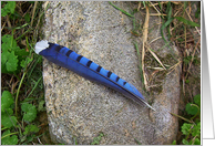 Blue Jay Feather Note Card Blank card