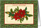 Christmas card with Poinsettia and pine branches card