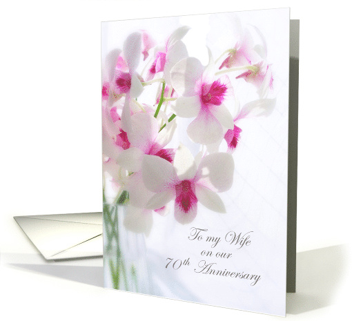 70th Wedding Anniversary, Wife - white orchids card (1394344)