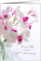 10th Wedding Anniversary Wife White Orchids card