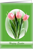 Spring tulips -...