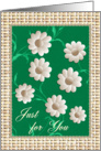 Daisy Flowers card