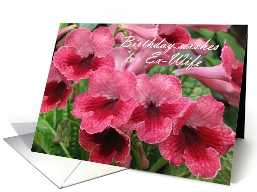 Romantic Red flowers - watermelon wine (''cape primrose'') card