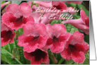 Romantic Red flowers - watermelon wine (’’cape primrose’’) card