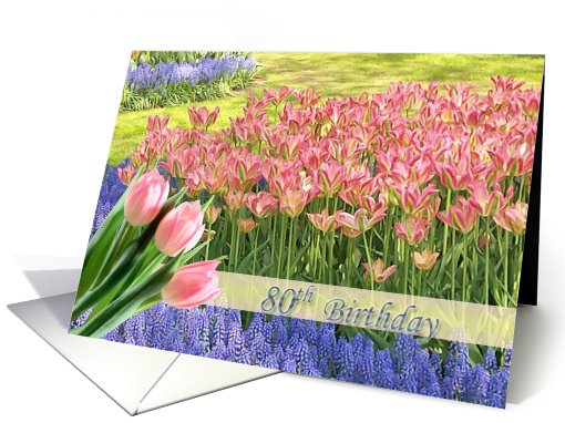 Tulip's field - 80th Birthday card (478188)