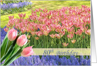 Tulip’s field - 80th Birthday card