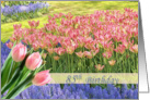 Tulip’s field - 85th Birthday card