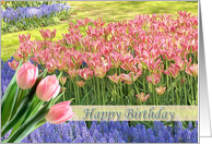 Happy Birthday from all of us card