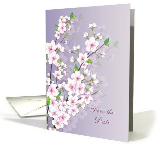 Save the date - Flowers, Cherry blossom card (565457)