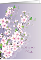 Save the date - Flowers, Cherry blossom card