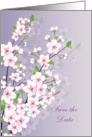Save the date - Flowers, Cherry blossom card
