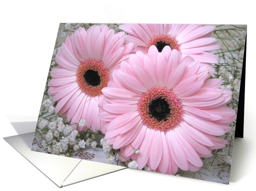 Couple, Wedding Anniversary card with pink Gerberas. card (571731)