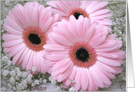 Couple, Wedding Anniversary card with pink Gerberas. card