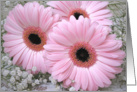 5th Wedding Anniversary - Pink Gerberas card