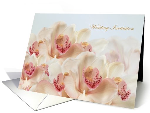 Wedding Invitation - Orchids in full bloom card (576003)