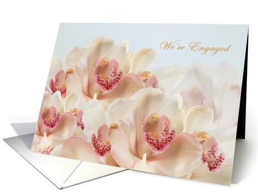 Engagement announcement - white - pink Orchids in full bloom card