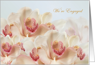 Engagement announcement - white - pink Orchids in full bloom card