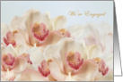 Engagement announcement - white - pink Orchids in full bloom card