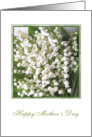 Mother’s day card with Lily of the valley flowers. card