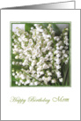 Birthday card for Mom with Lily of the valley flowers. card