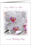 Mother-in-Law. Thank you for the wedding. White Orchid. card