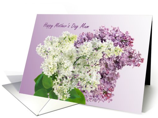 Mum, Mother's Day - Lilac flowers card (613719)