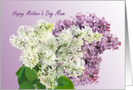 Mum, Mother’s Day - Lilac flowers card