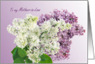 Mother-in-Law, Mother’s Day - Lilac flowers card