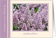 Godmother Birthday. Lilac flowers card