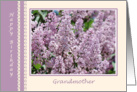 Grandmother Birthday. Lilac flowers card