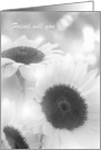 Friend, be my Bridesmaid card. Black and white sunflowers card