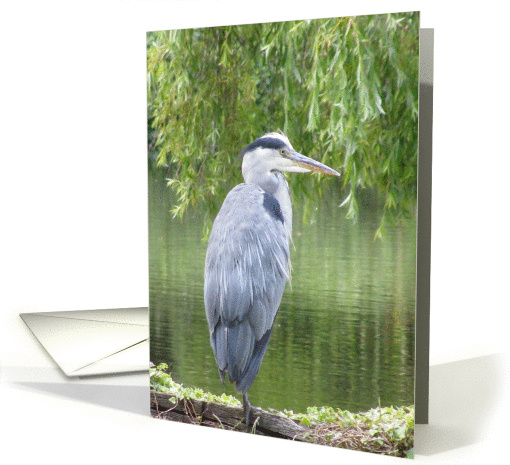 Thank you card with Heron by a lake. card (681847)