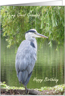 Birthday card for Great Grandpa - Heron by a lake. card