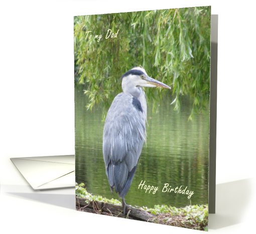 Birthday card for Dad - Heron by a lake. card (681917)