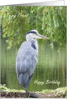 Birthday card for Friend- Heron by a lake. card