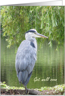 Get well soon - Heron by a lake. card