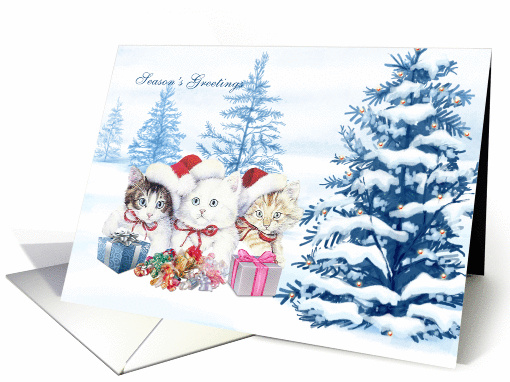 Winter christmas season card with kittens, tree and presents card