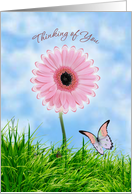 Thinking of you card with pink daisy-gerbera and butterfly card